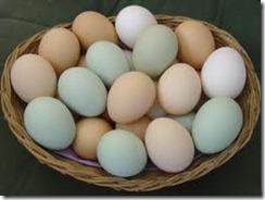 Eggs