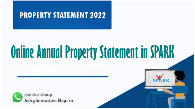  Annual Property Statement in SPARK