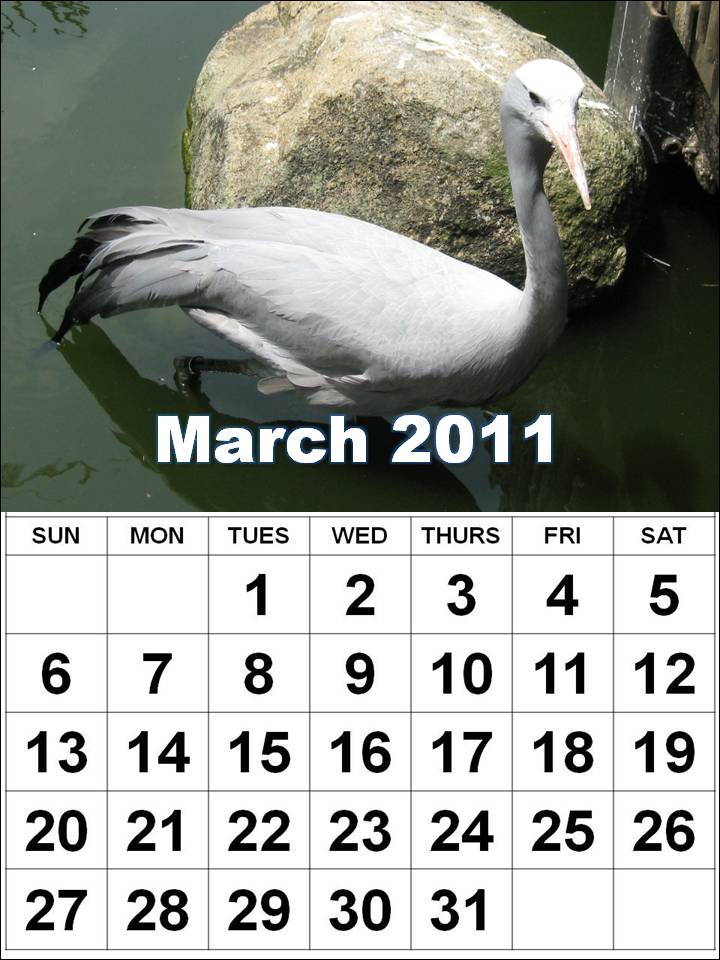 2011 calendar template excel. 2011 calendar template excel.