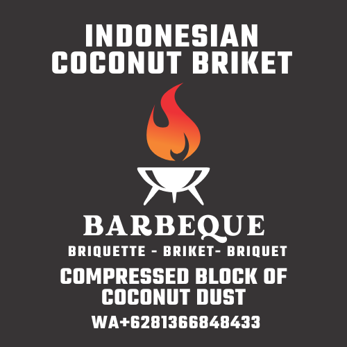 Briket Coconut 100% Indonesian Made