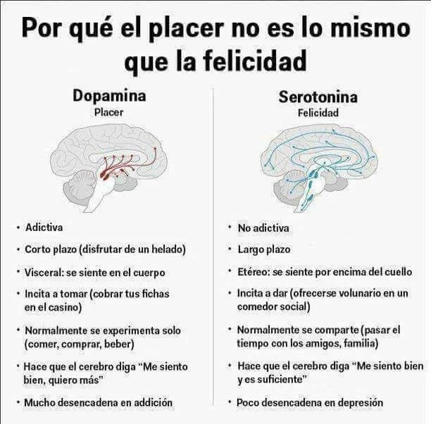 Diferencia entre placer y felicidad