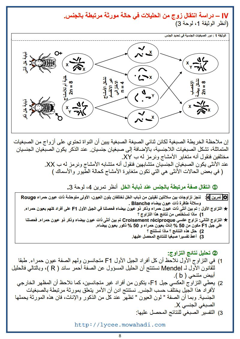  القوانين الاحصائية لانتقال الصفات الوراثية عند ثنائيات الصيغة الصبغية -8