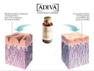 Hình ảnh Collagen Adiva