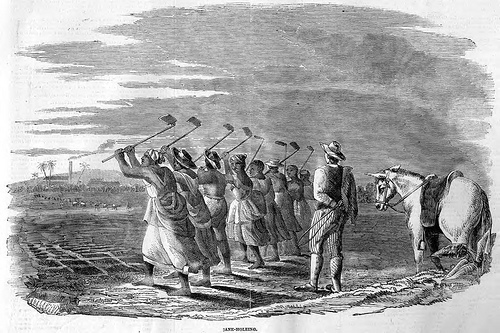 Jamaican slaves toiling in the field