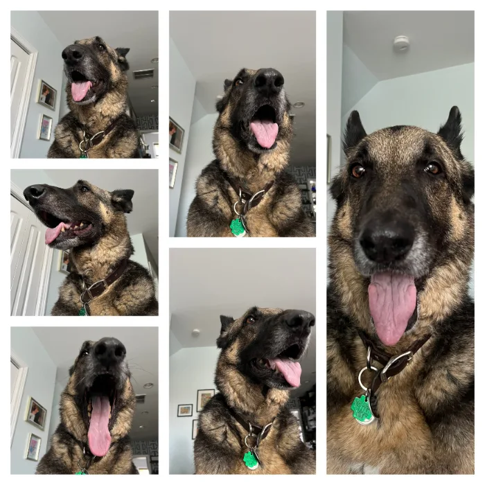 photo collage of big boy Finn