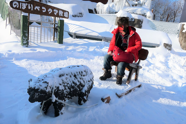 北海道 のぼりべつクマ牧場 登別