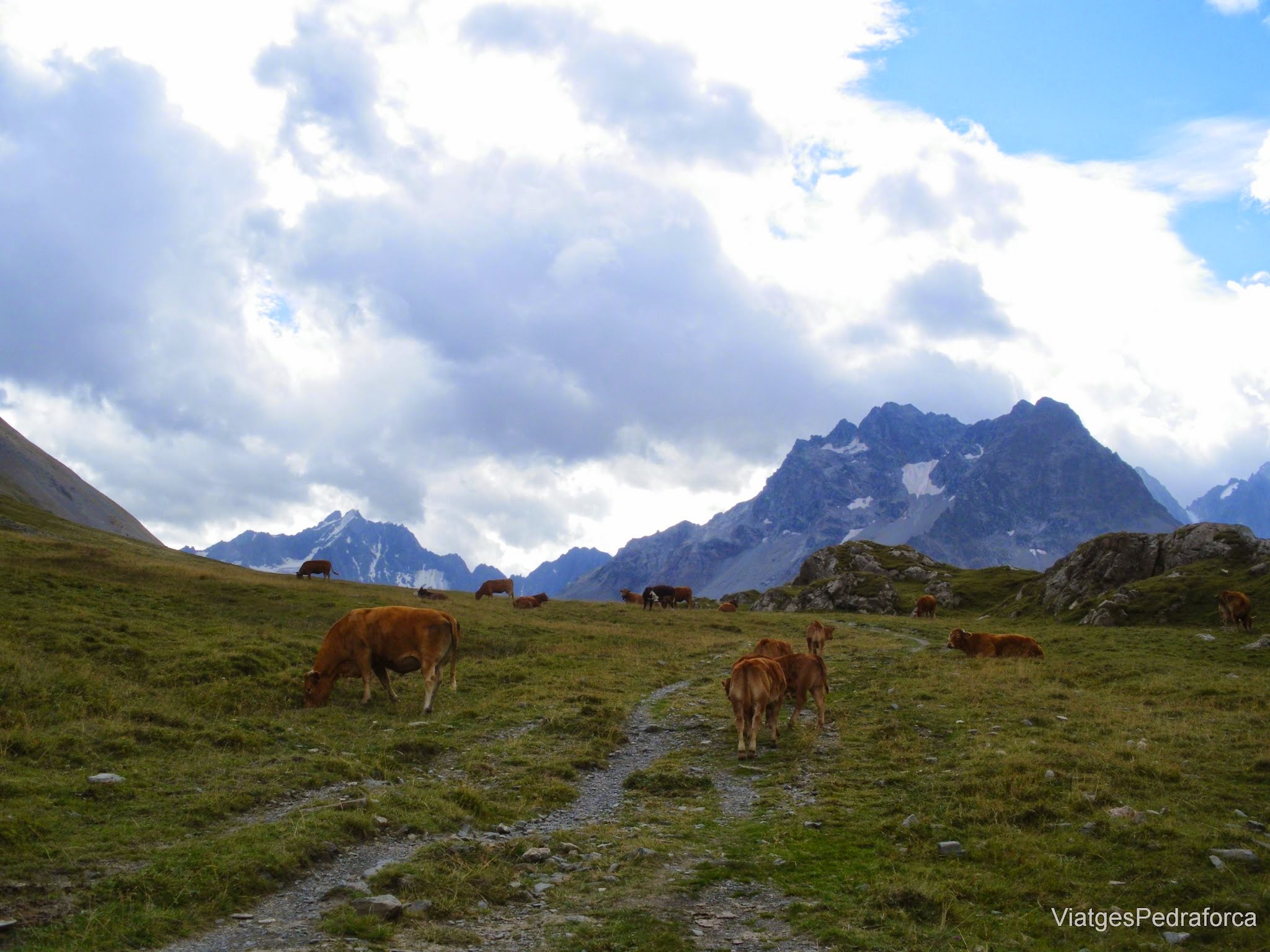 Haute Romanche, Alpe du Villar d'Arene, Hautes Alpes, Parc National des Ecrins, France