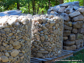 Southern Meadows: Planting Rocks