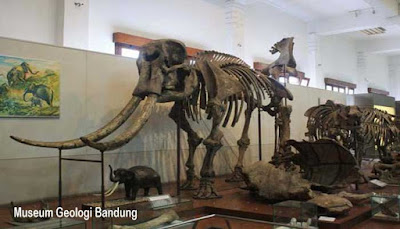 museum geologi bandung