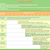 Baby Food Stages Chart