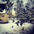 Winter's magic