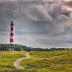 Aantal strandbroeders Ameland groeit