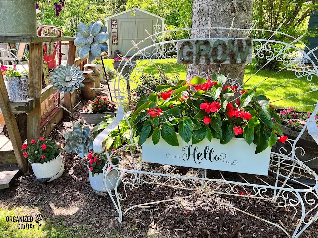 Photo of begonias & impatiens in a junk garden under a tree.