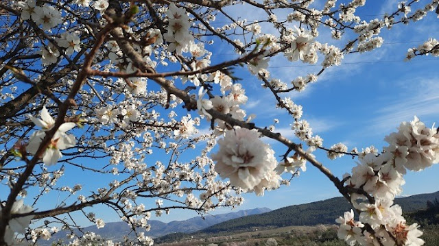 Μάρτης γδάρτης και κακός παλουκοκαύτης- Πως «βγήκε» η παροιμία