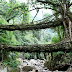 Puentes de raíces vivientes en Meghalaya, India