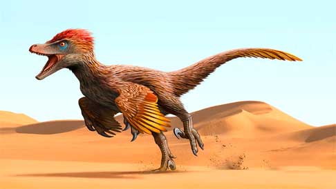 Dinosaurio el velociraptor, el favorito de jurasic park!