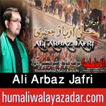 http://www.humaliwalayazadar.com/2015/04/ali-arbaz-jafri-nohay-2014-to-2016.html