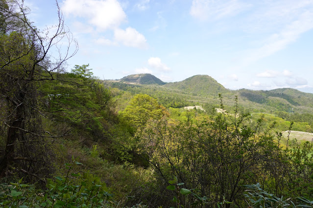 鳥取県西伯郡大山町豊房 香取