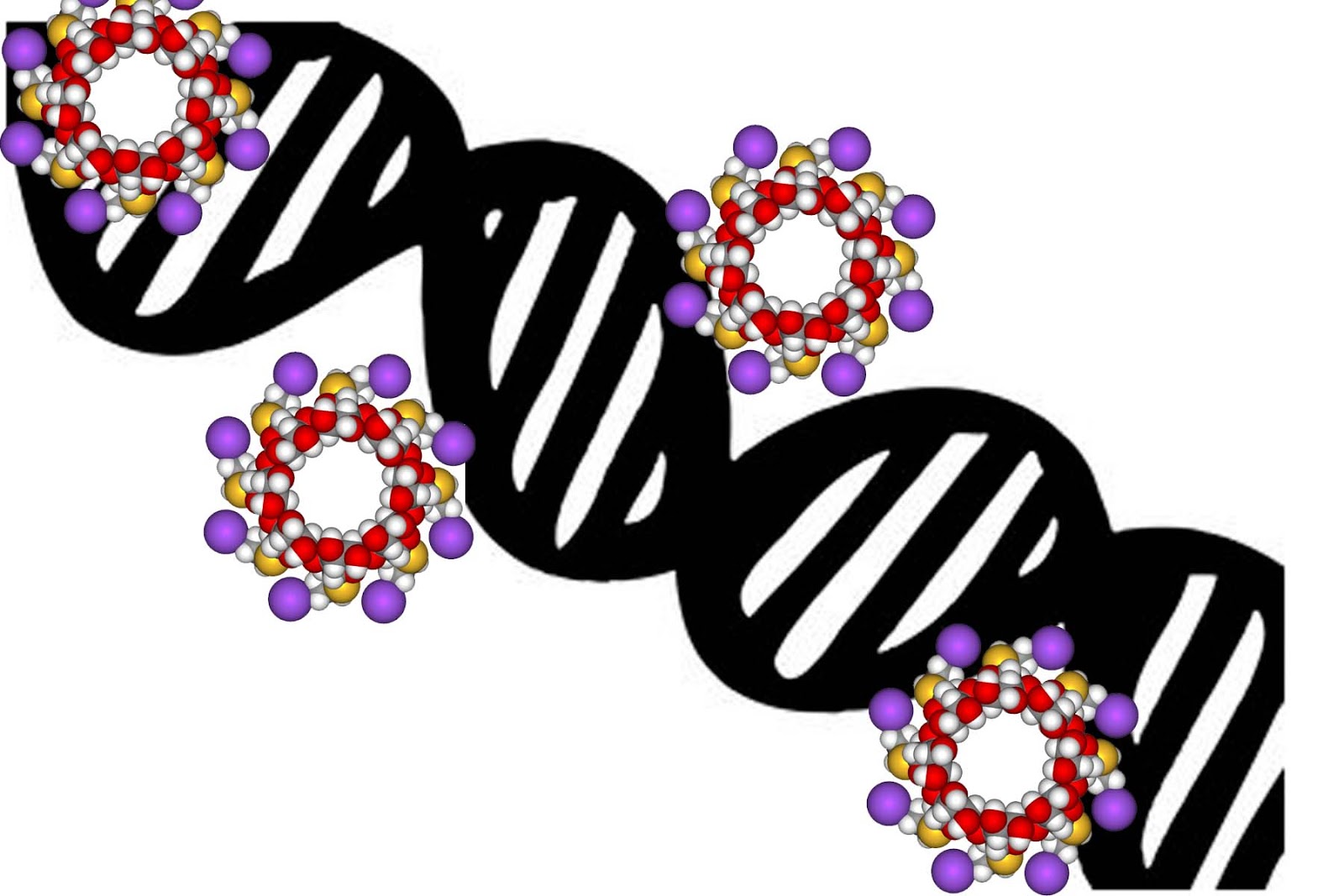 Wallpaper Dna Structure