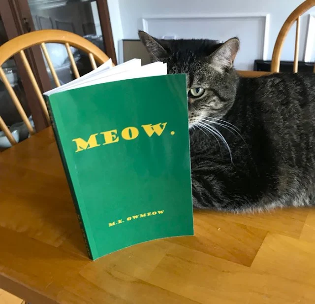 Novel meow