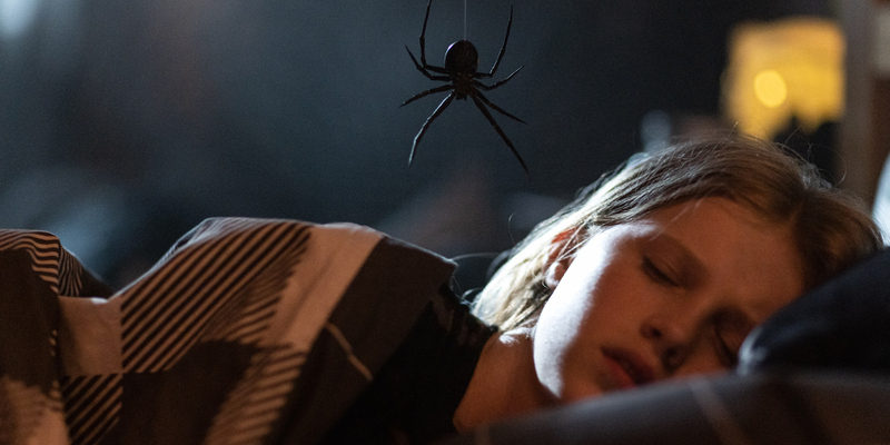 First Trailer and Poster for Creepy Crawly Creature Feature STING