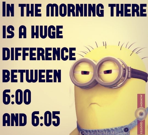 funny minion quotes images