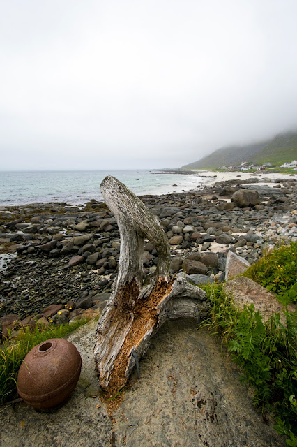 Glasshytta-Isole Lofoten