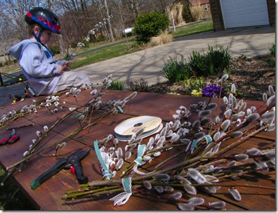 Pussy Willow Boquets