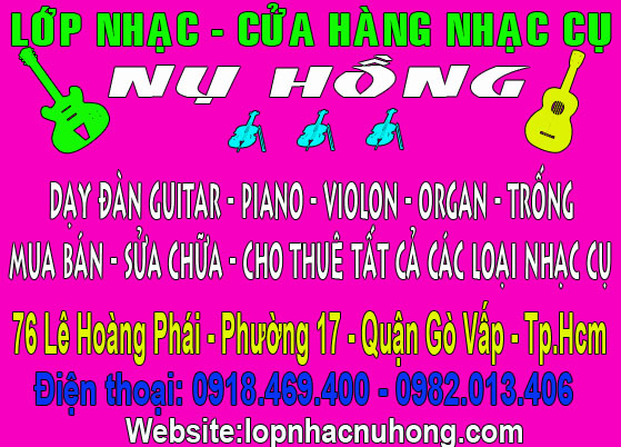 nhac cu hong nhung 3