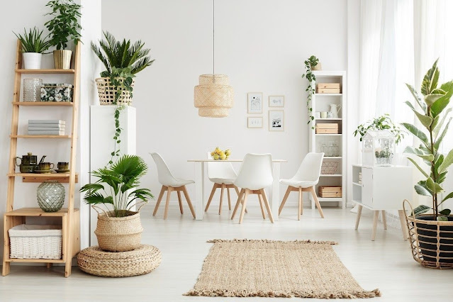 living room decor ideas with plants