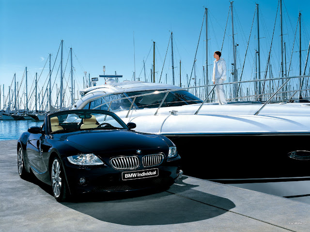 Elegant BMW Z4 photo