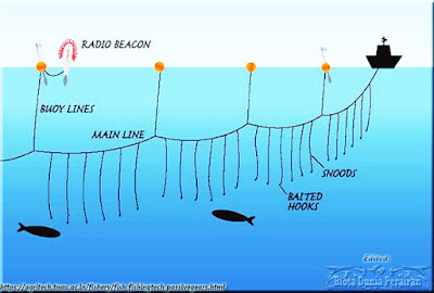 Jaring Pengait (Hook and Line Nets)