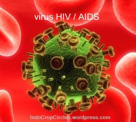 Obat AIDS: Melittin Pada Racun Lebah Mampu Bunuh HIV