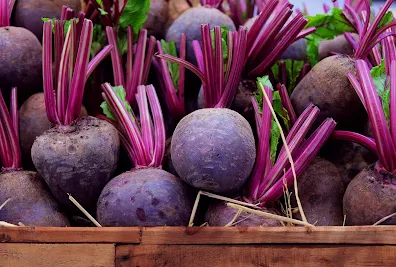 what are the benefits of beetroot?