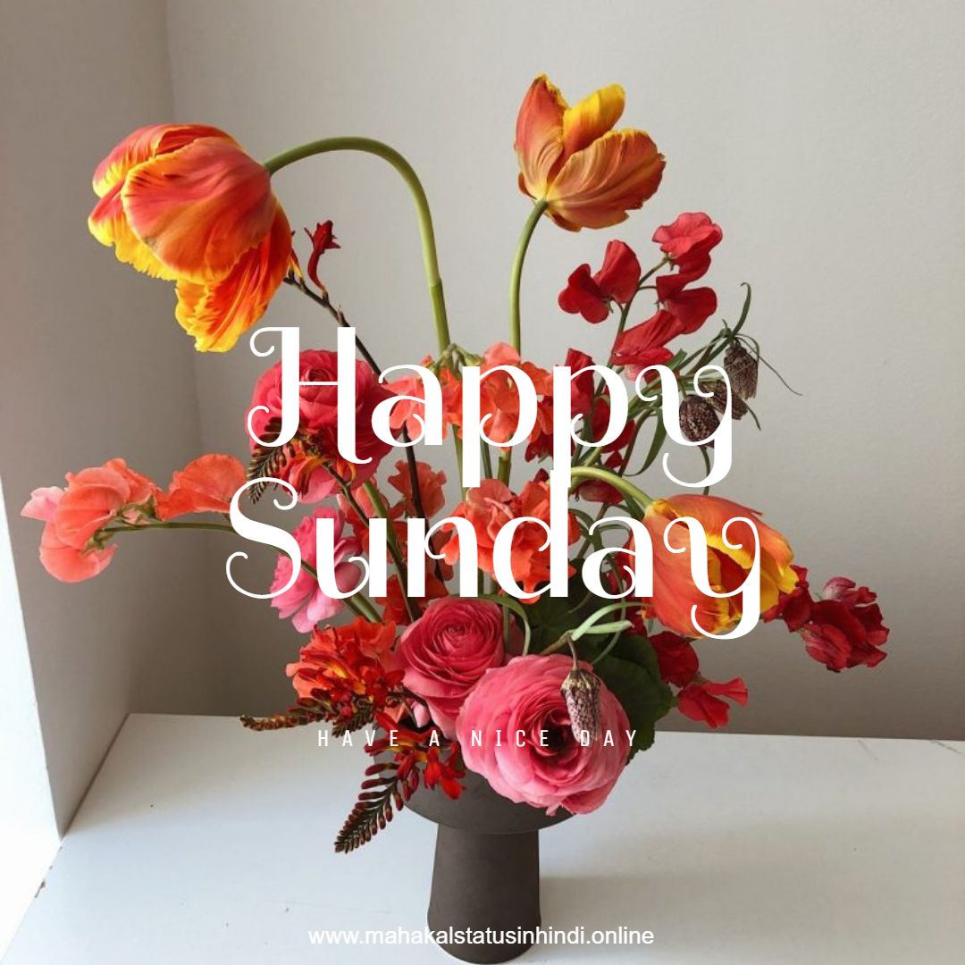 Happy Sunday Flowers  Images