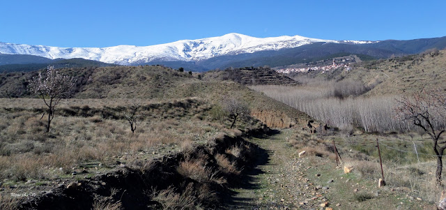 Sierra Nevada, Jérez del Marquesado