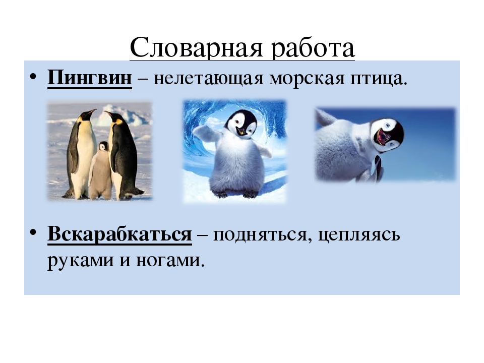 Пересказ рассказа про пингвинов старшая группа. Г Я Снегирев отважный Пингвиненок. Рассказ г.Снегирева отважный Пингвинёнок. Рассказ г Снегирева отважный Пингвиненок.