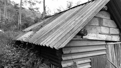 Cerita dari Tlogo Gentong, Kampung Paling Ujung di Lereng Gunung Kawi