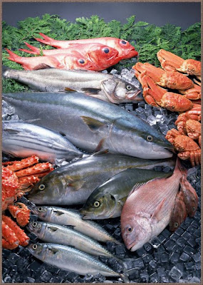 Beautiful ocean fresh seafood Pics