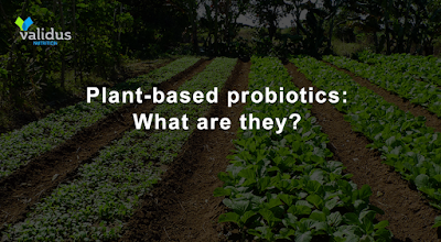 Plant - based Probiotics : What are they?   