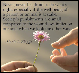 Staying Alive is Not Enough :Never, never be afraid to do what's right, especially if the well-being of a person or animal is at stake. Society's punishments are small compared to the wounds we inflict on our soul when we look the other way.