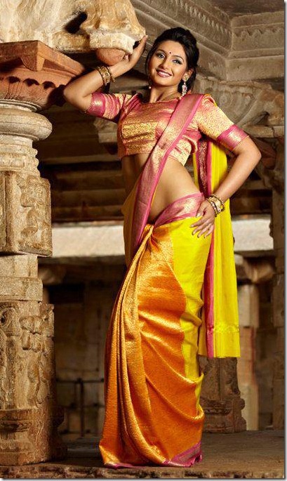 ragini_in_saree_pics