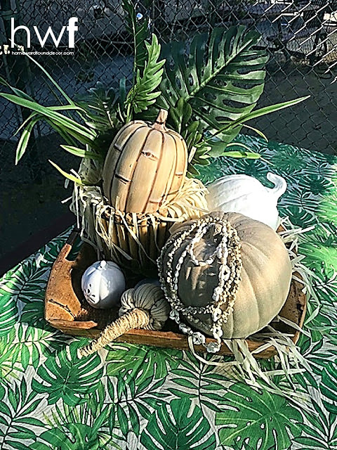 fall,tropical style,pumpkins,outdoors,decorating,glamping,beach style,tiki style,Sweet Sweater Pumpkins,glamping decor,tropical camping decor,tropical glamping,Shasta trailer decor.