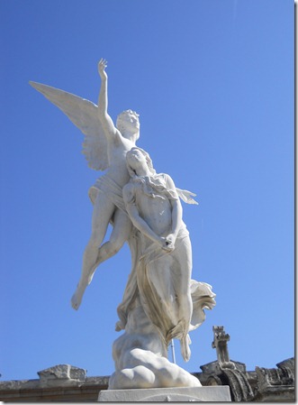 DSCN3188