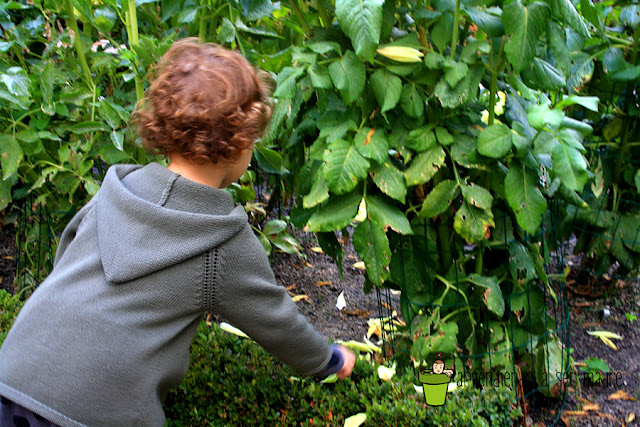 otoño para los niños