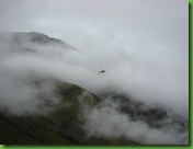 IMG_8342