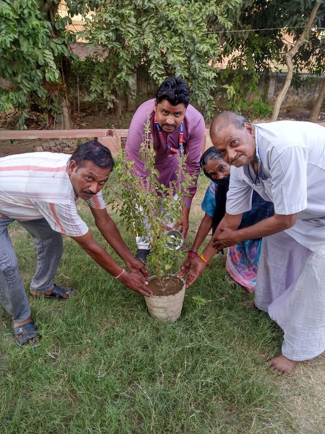 गांधी जयंती के उपलक्ष्य में चलाया स्वच्छता अभियान एवं किया तुलसी वृक्षारोपण