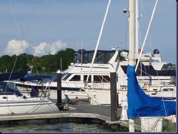 P1000631