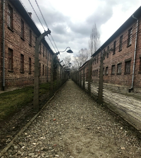 Alley view between the two barracks where prisoners were tortured and experimented on.