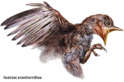 Fosil Burung Purba ditemukan Terjebak dalam Amber